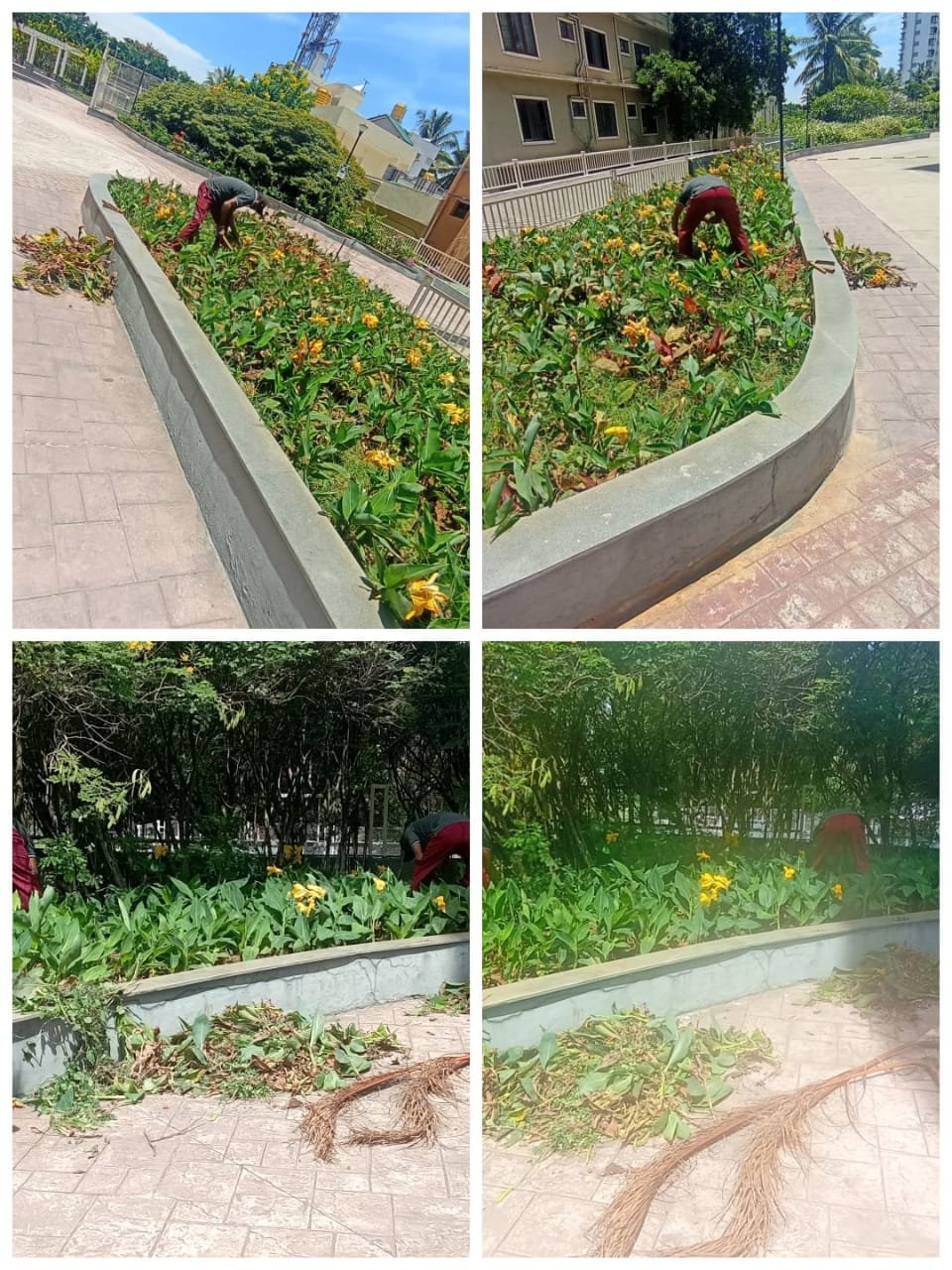 WhatsApp Image 2023-09-13 at 3.56.22 PM (2)