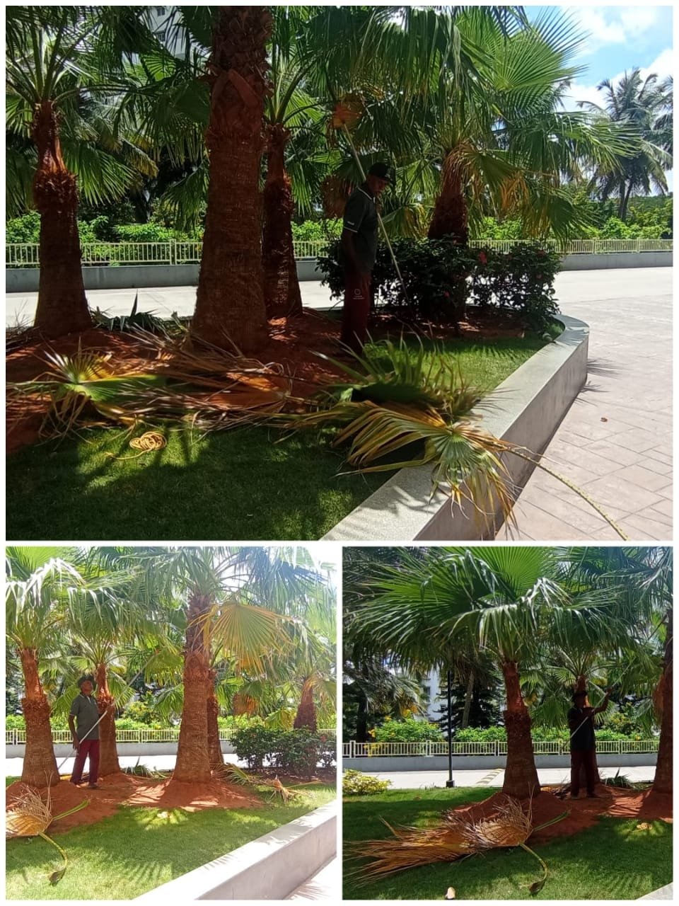 WhatsApp Image 2023-09-13 at 3.56.22 PM (3)