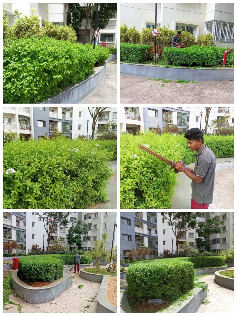 WhatsApp Image 2023-09-13 at 3.56.22 PM